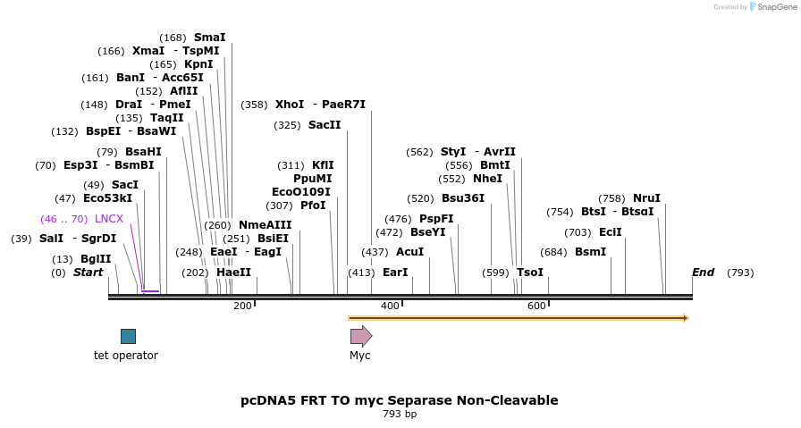 96682_map