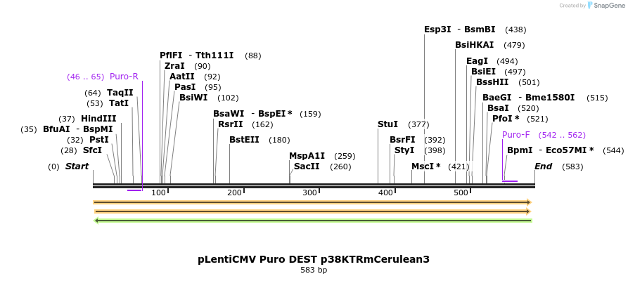 96683_map