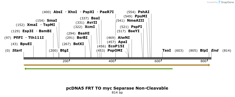96685_map