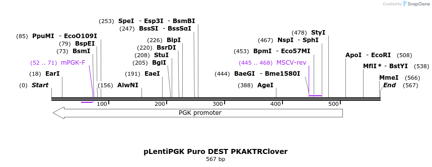 96690_map