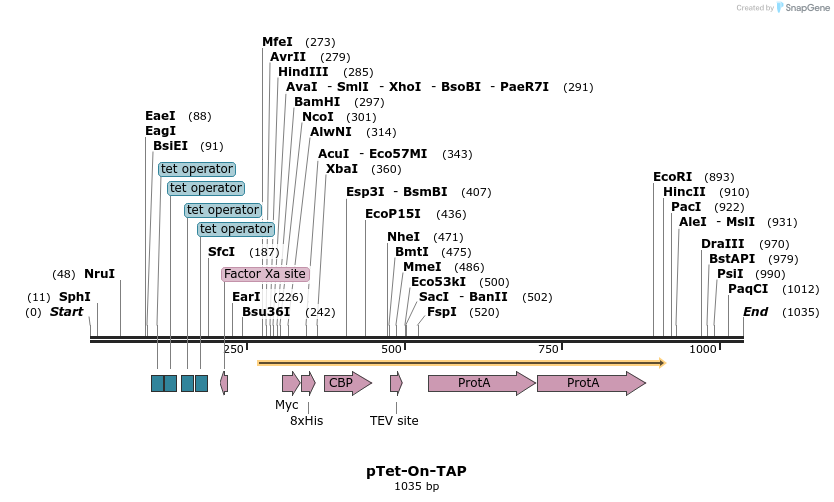 96691_map
