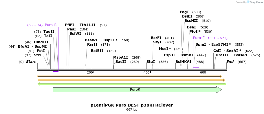 96692_map