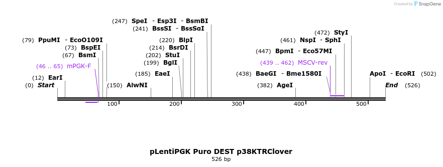 96693_map