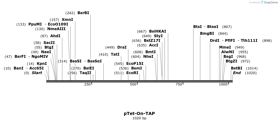 96695_map