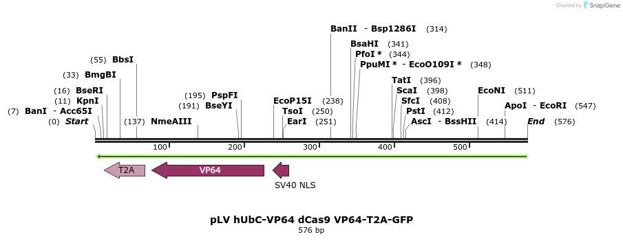 96696_map