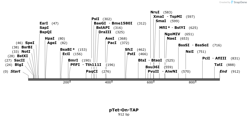 96697_map