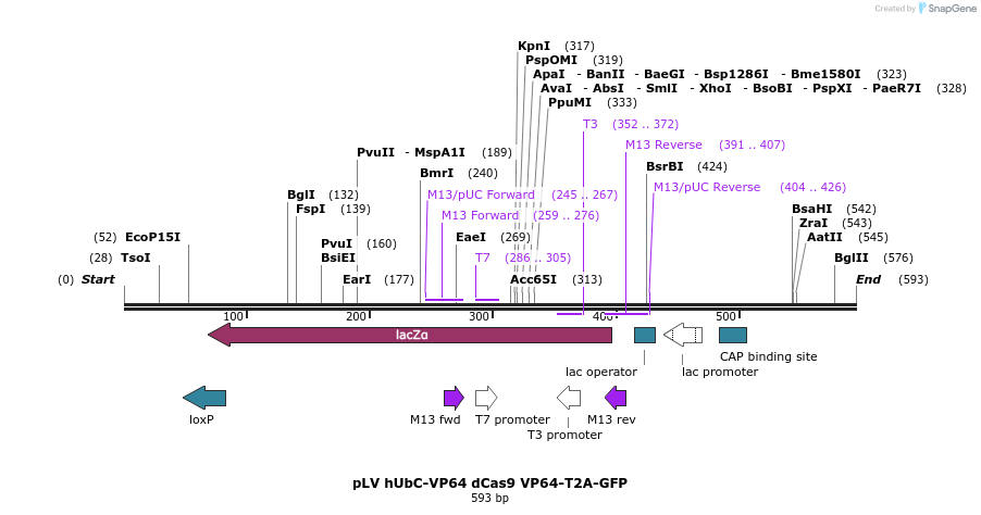 96699_map