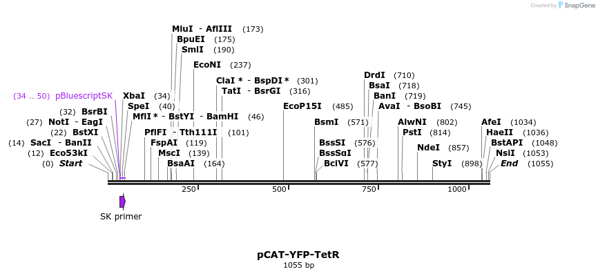 96700_map