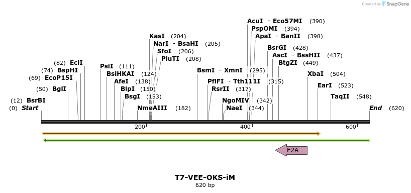 96705_map
