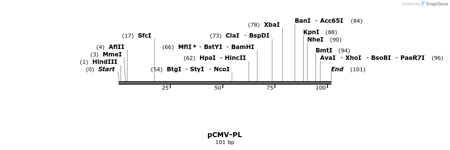 9674_map