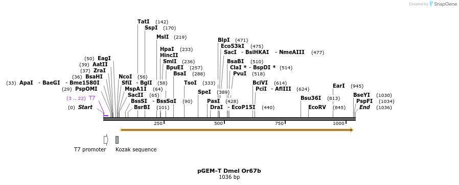 96741_map