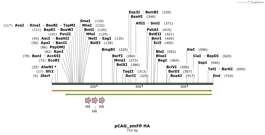 96742_map