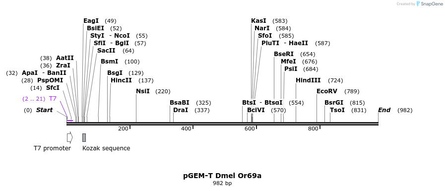 96744_map