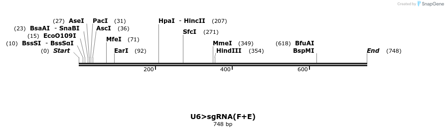 96745_map