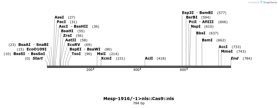96746_map