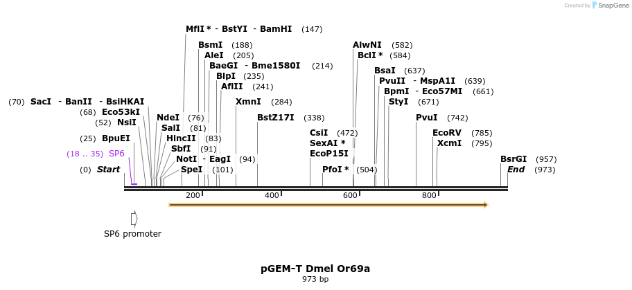 96747_map