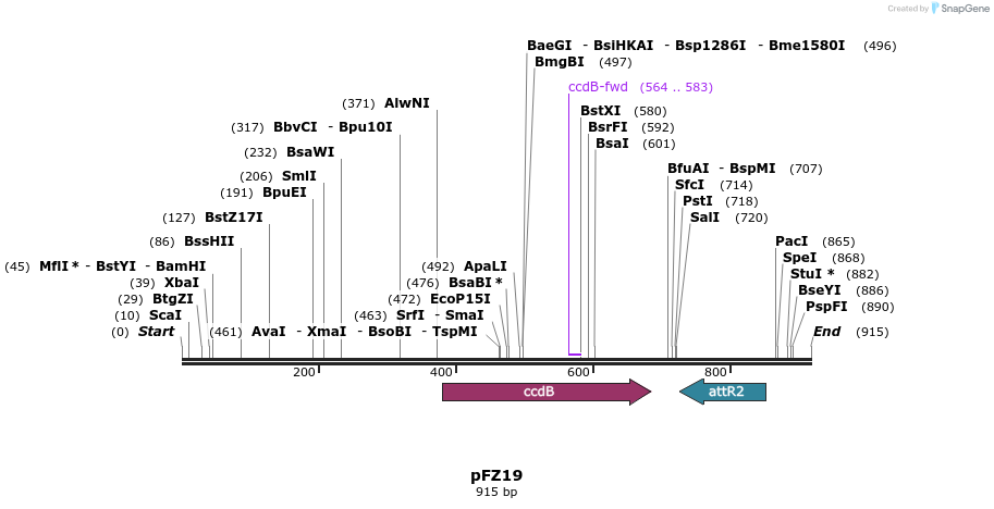 96750_map