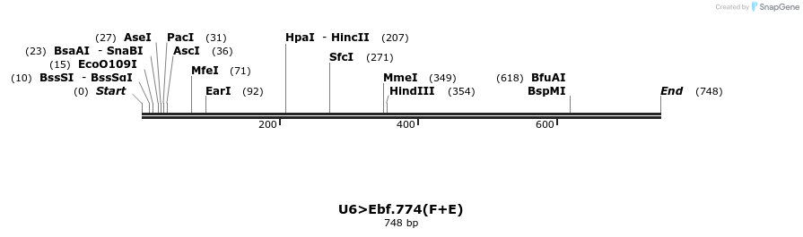 96751_map