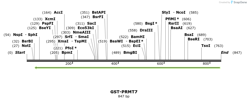 96753_map