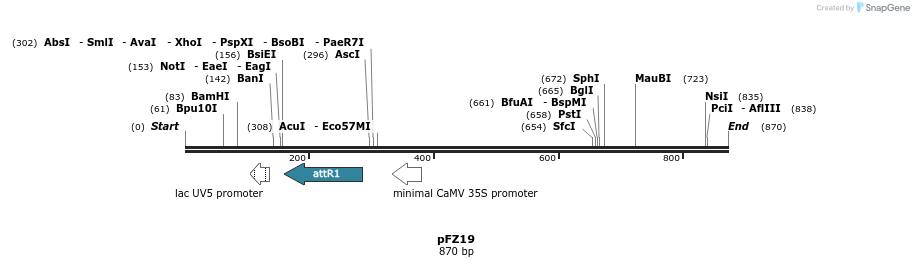 96754_map