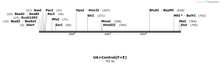 96755_map