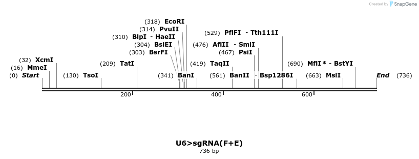 96758_map