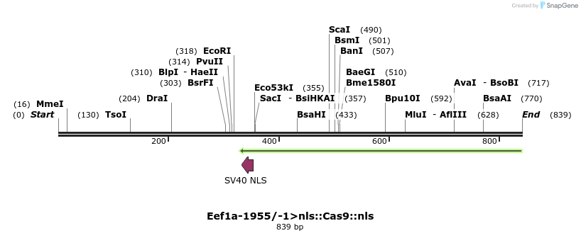 96759_map