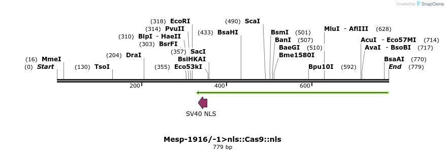 96762_map