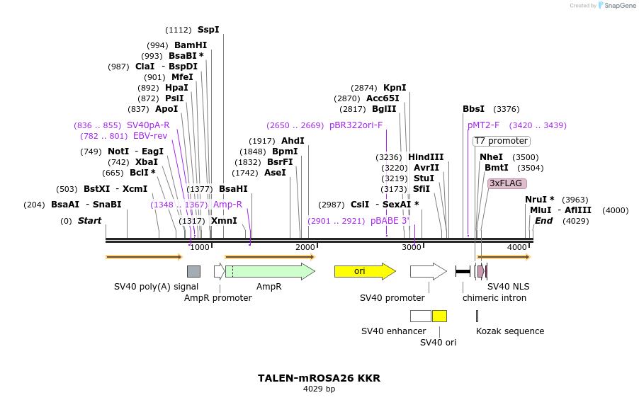 96764_map