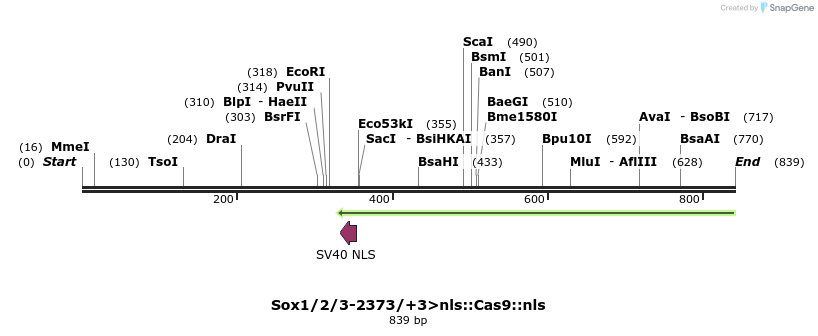 96765_map
