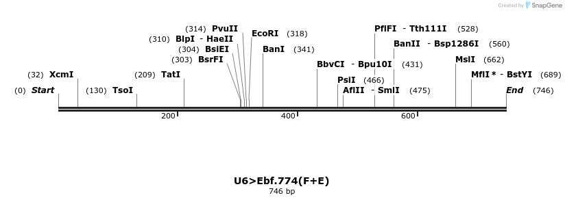 96767_map