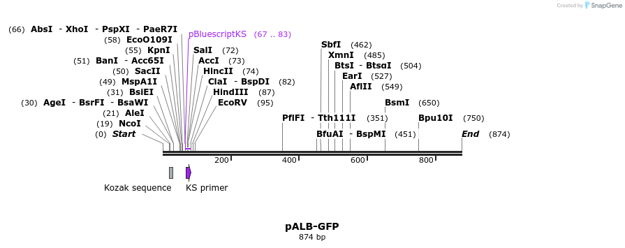 96769_map