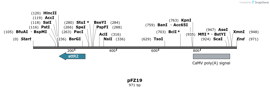 96779_map