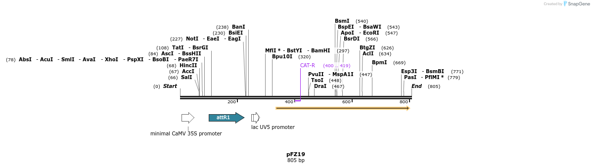 96780_map