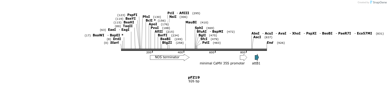 96781_map