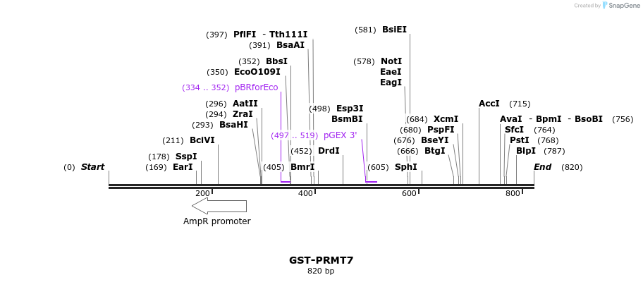 96789_map