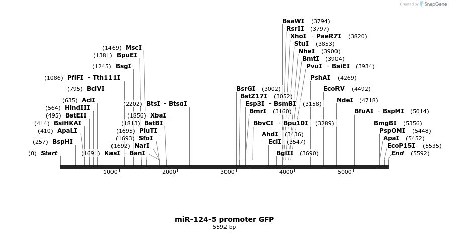 9679_map