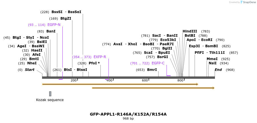 96791_map