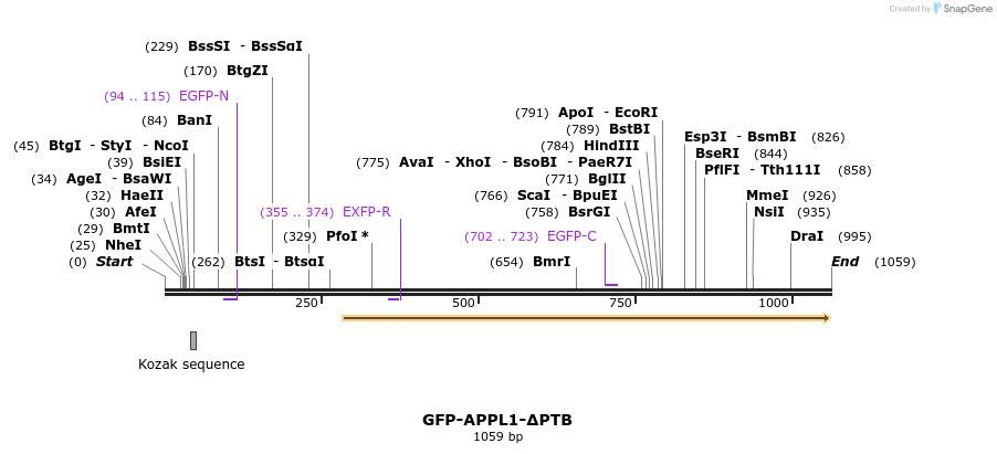 96793_map