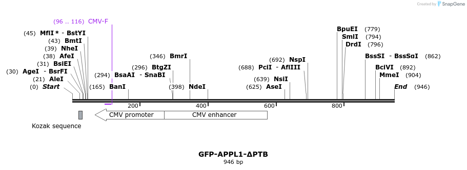 96794_map