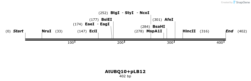 96795_map