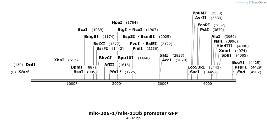 9680_map