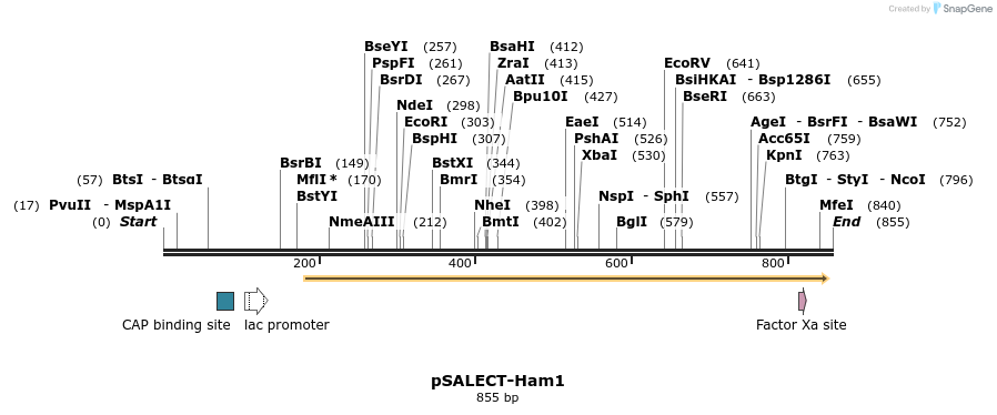 96801_map