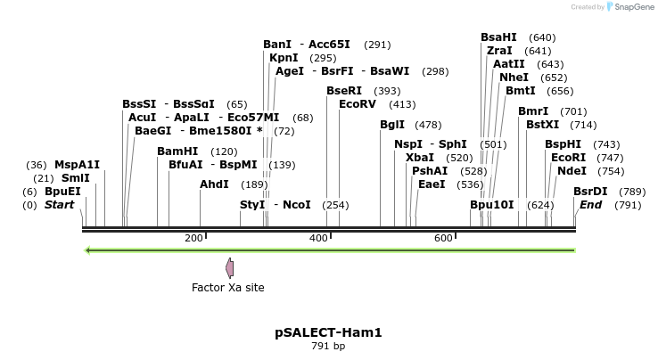 96803_map