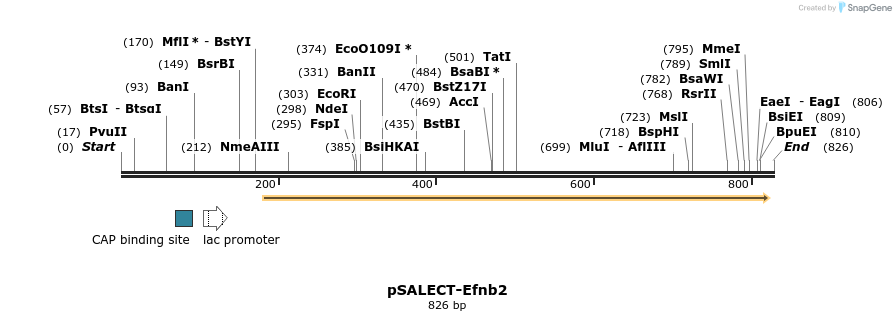 96805_map
