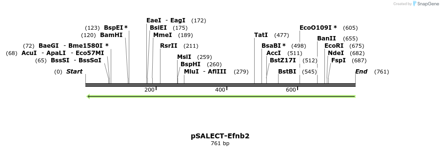 96806_map