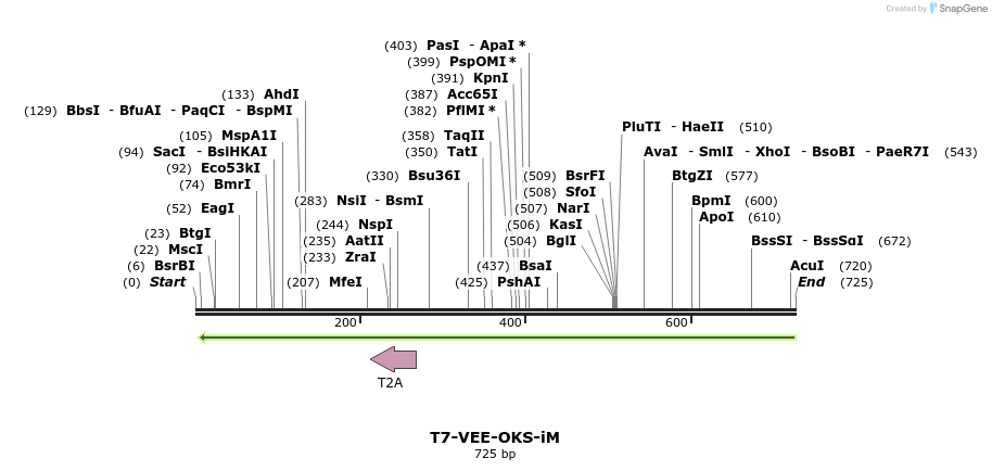 96807_map