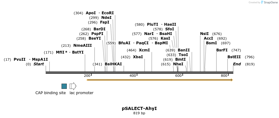 96808_map