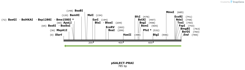 96813_map