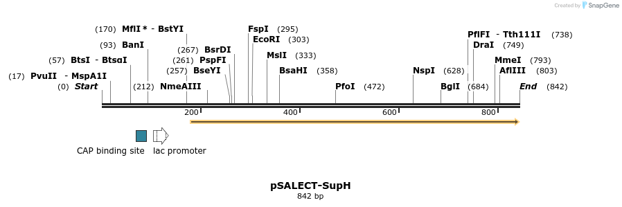 96814_map